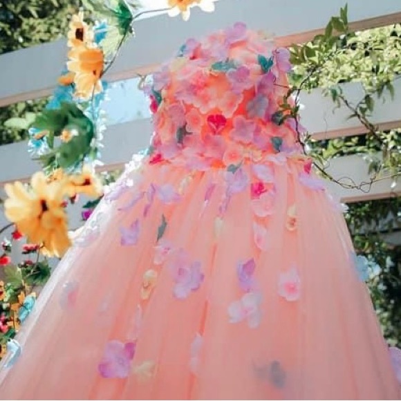 ( DM 1st) Peach Tulle Floral Appliqué Wedding or Quinceañera Gown Size 12-14 - Picture 13 of 16
